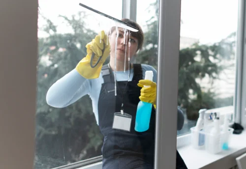 Nettoyage de vitres intérieures et extérieures à Saint-Plaisir